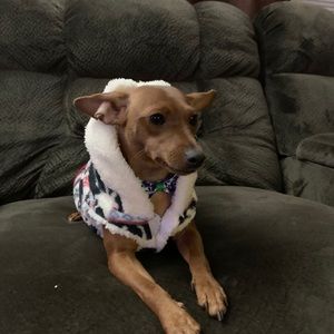 Meet your Posher, Keith